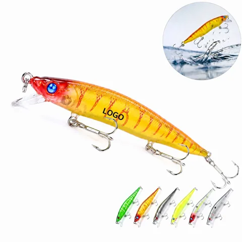 Buoyant Plastic Fishing Lure with 3D Eyes