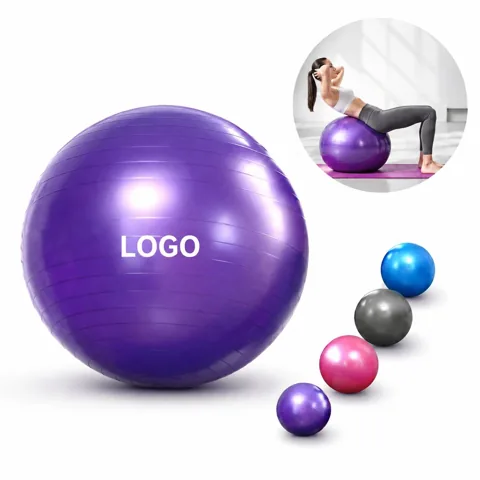 Stability Ball Exercise Ball with Pump, Anti-Burst PVC